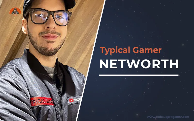 typical gamer net worth